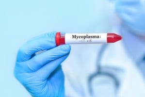 Mycoplasma Test STD Mgen Lab